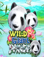 เว็บ bet กับสูตรเล่นสล็อตให้ชนะ